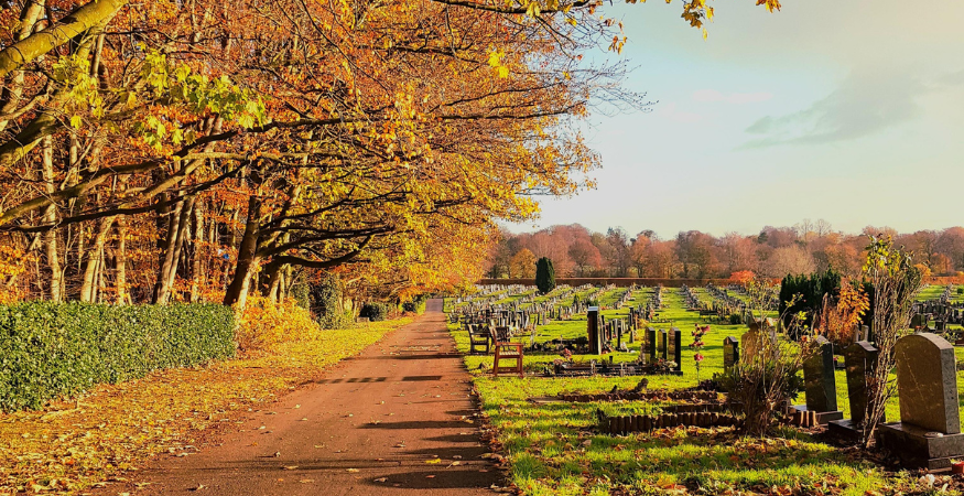 Liverpool City Council 4