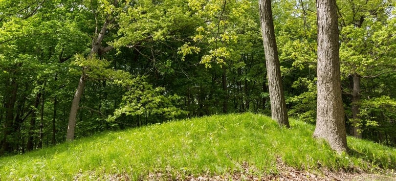 Natural burial 2