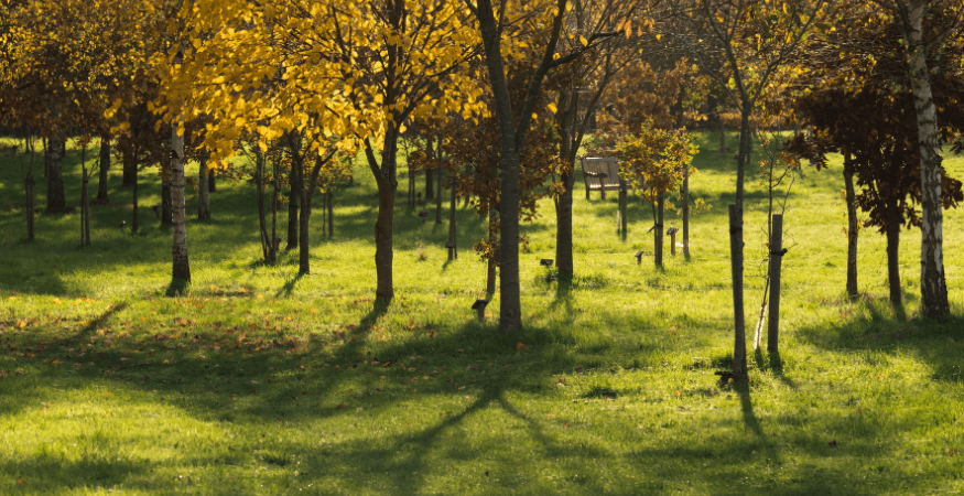 Tithe Green blog 2