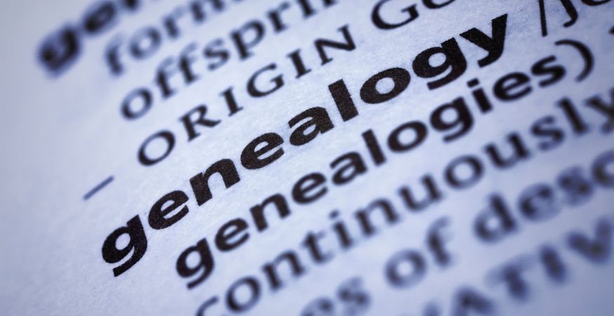 genealogy