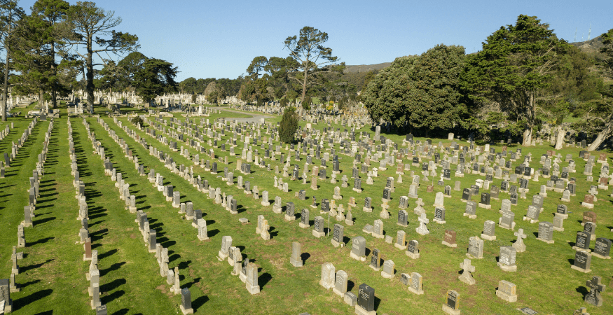 Cemetery mapping software