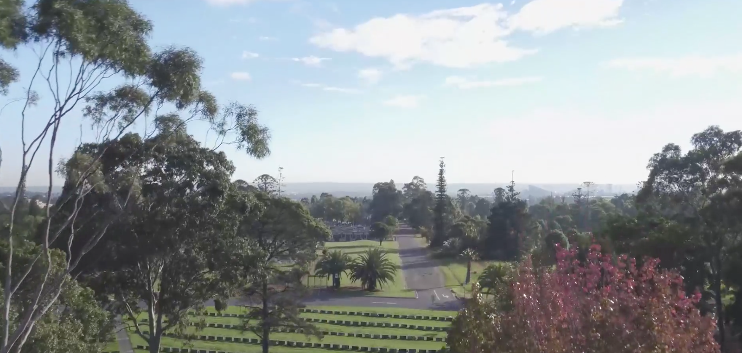 Drone image of Rookwood Cemetery