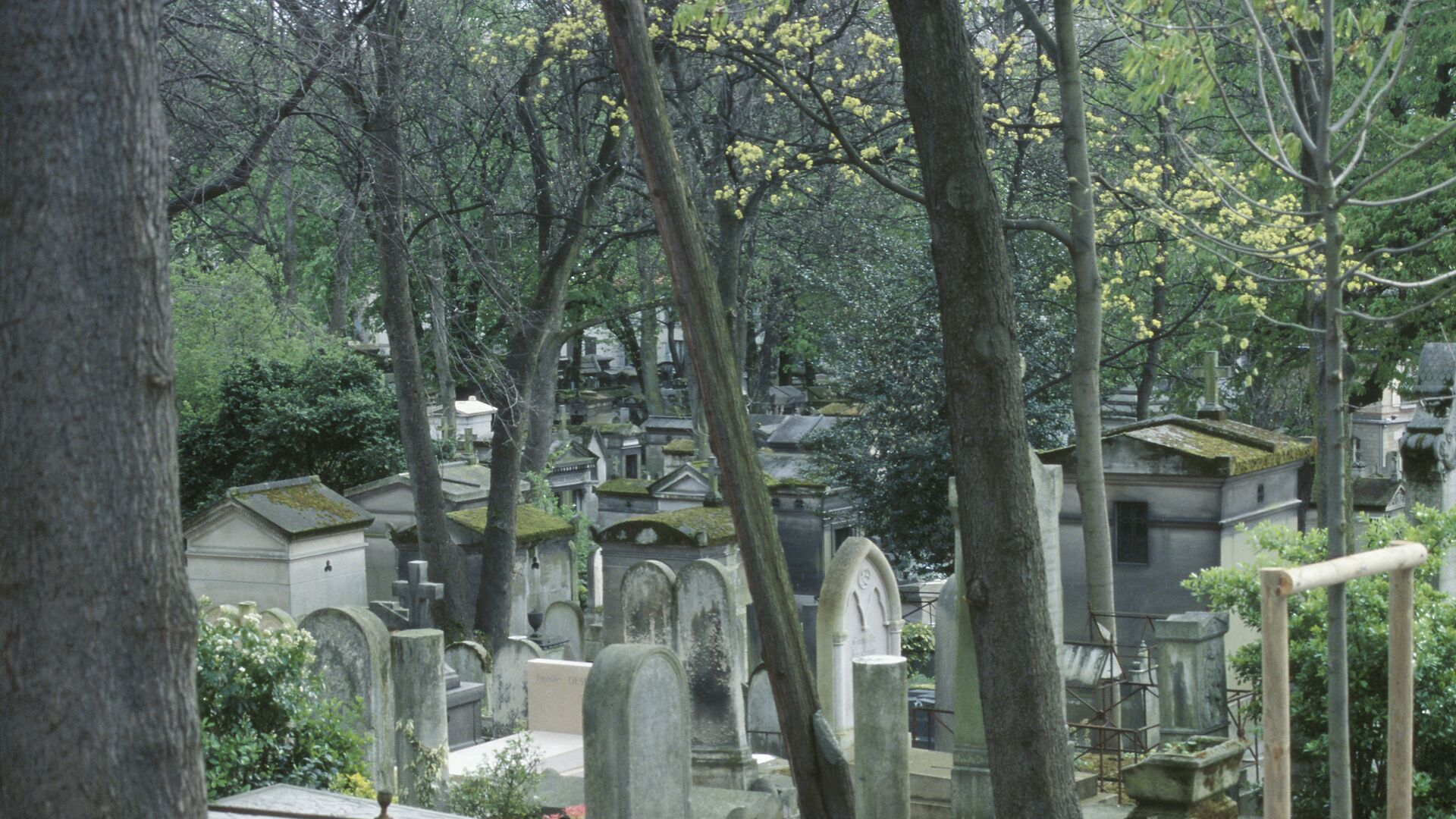 Photo of a cemetery crowded with headstones